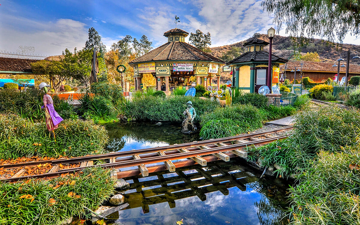 Corona Drone Services