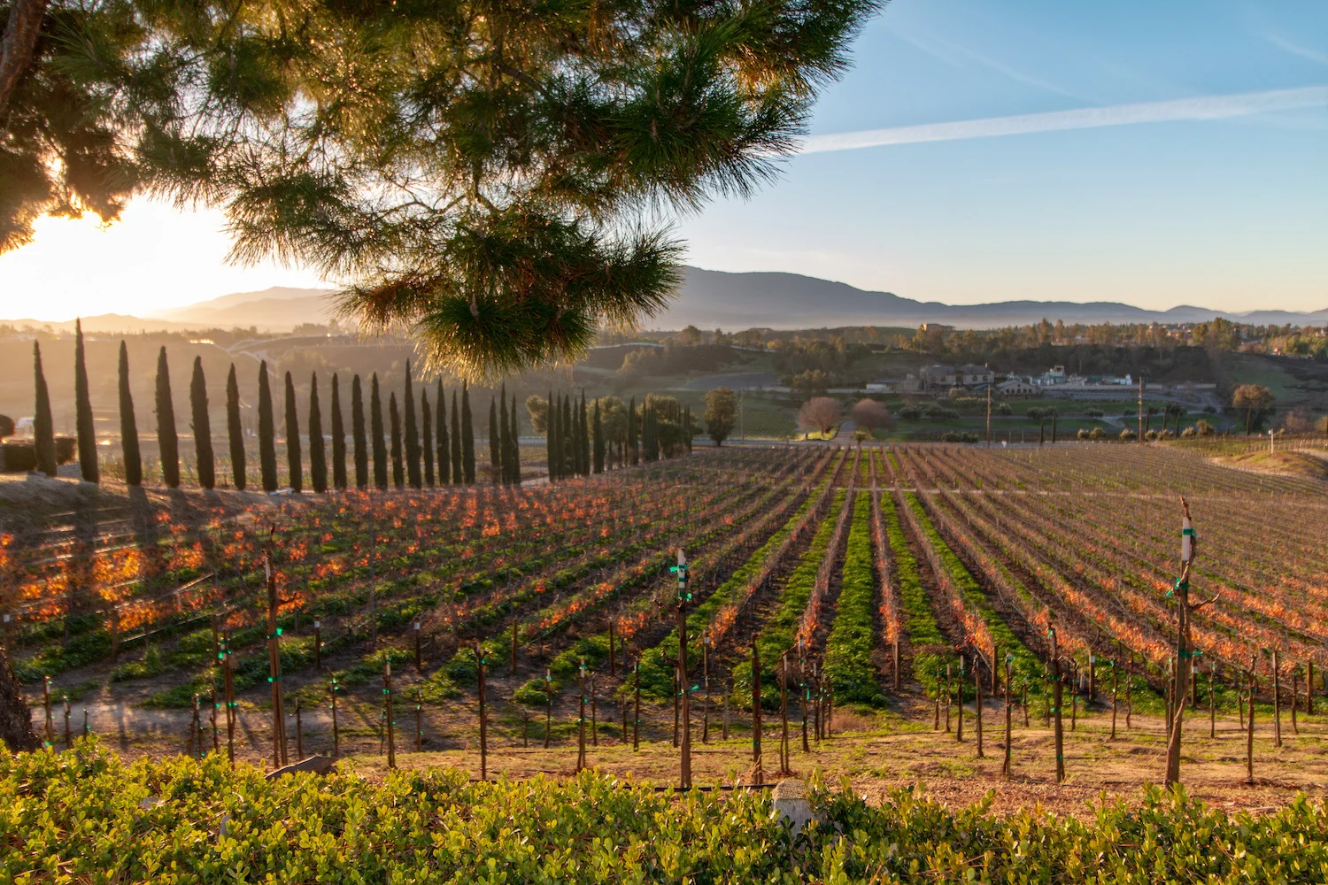 Temecula Drone Services