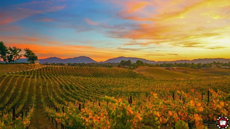 Temecula Drone Services