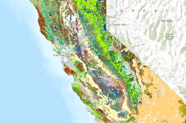 Land Use Land Cover (LULC) Mapping Land Use Land Cover (LULC) Mapping
