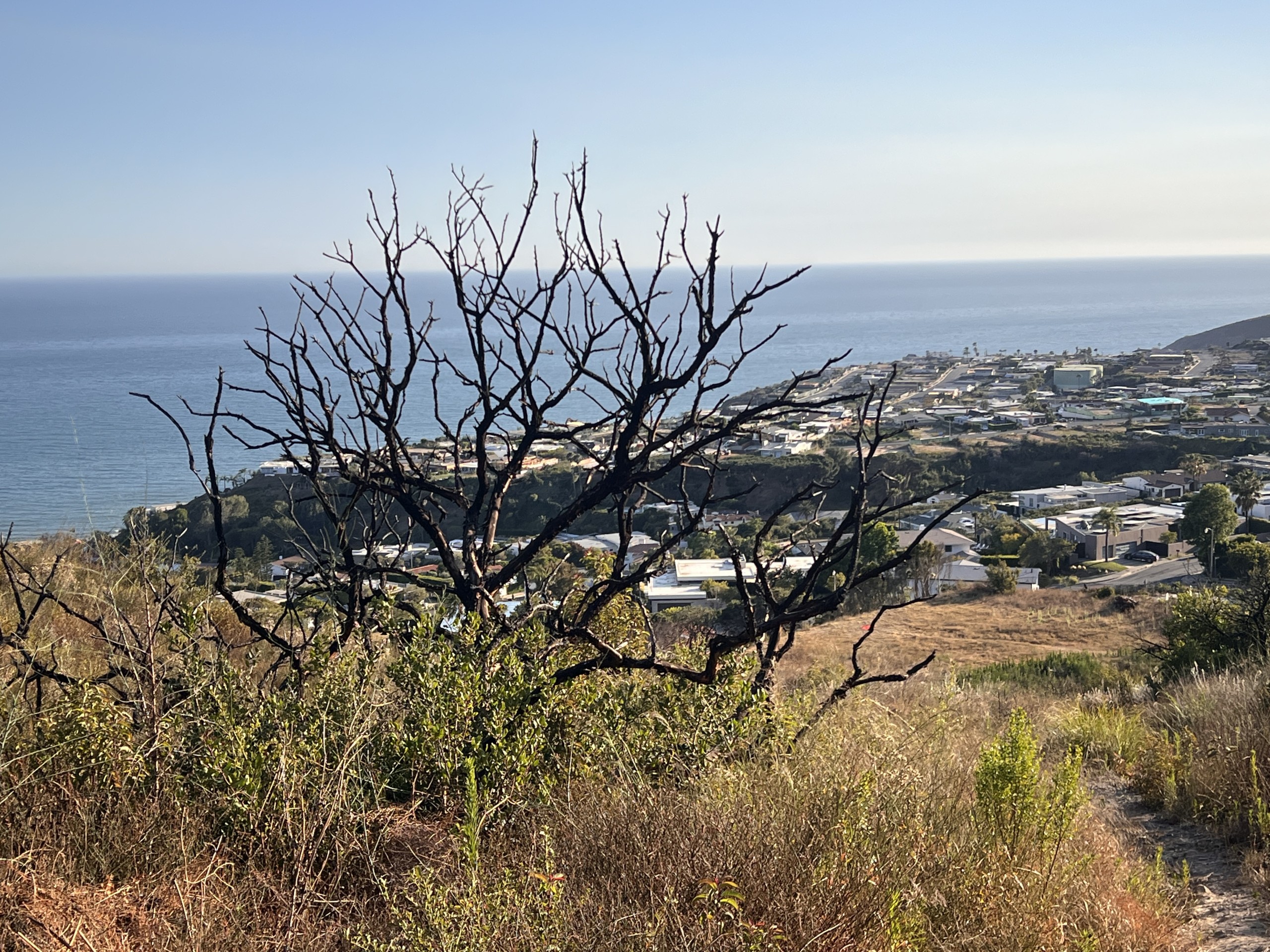 Pacific Palisades LiDAR 3D Drone Mapping Services